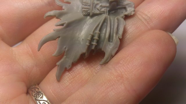 Nyss Raptor Conversion